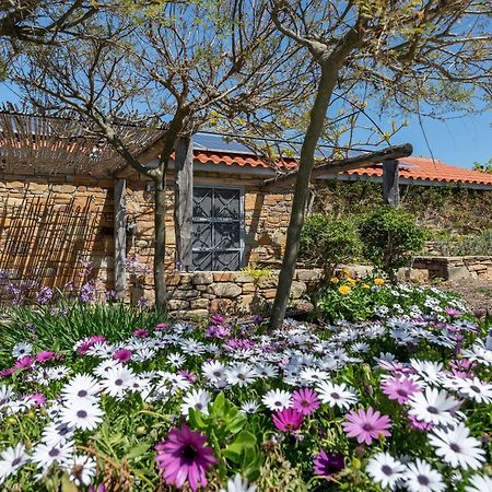 Ataraxia At Saravari Beach Agios Alexandros Экстерьер фото